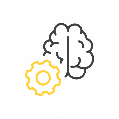 brain support